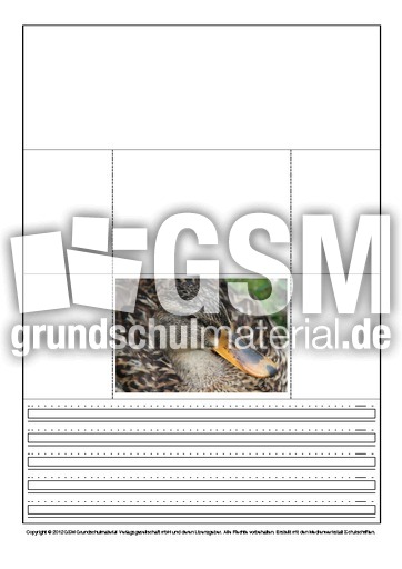 Popup-Buch-Stockente-B-1-10.pdf